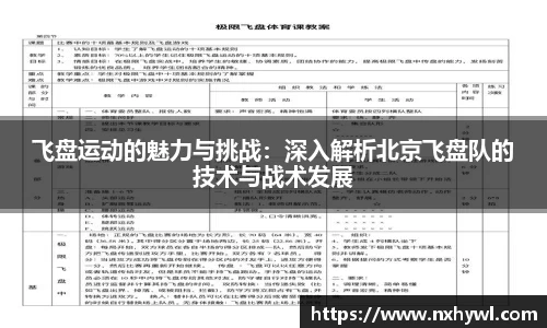 飞盘运动的魅力与挑战：深入解析北京飞盘队的技术与战术发展