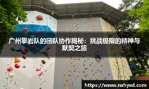 广州攀岩队的团队协作揭秘：挑战极限的精神与默契之旅